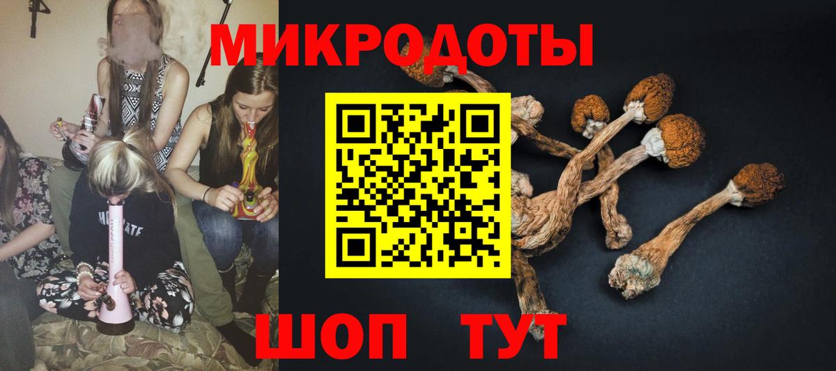 Анжеро-Судженск  Галлюциногенные грибы мицелий  Вход с VPN 